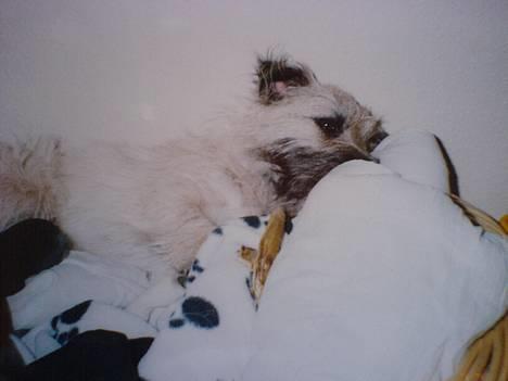 Blanding af racer max <3 billede 4