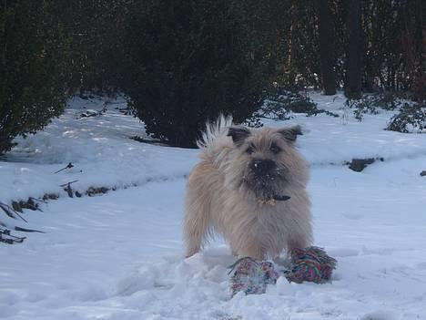 Blanding af racer max <3 billede 5