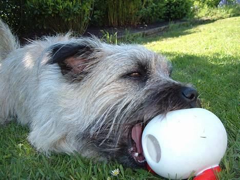 Blanding af racer max <3 billede 7