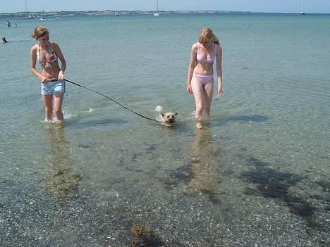 Blanding af racer max <3 - på Ærø billede 10