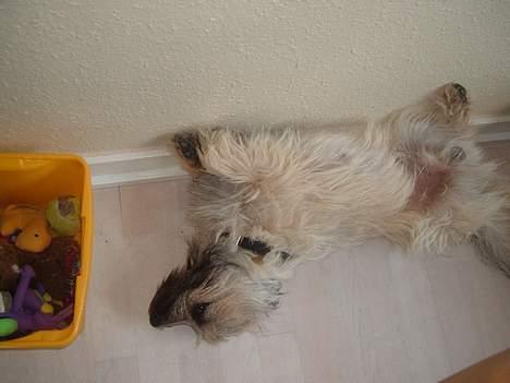 Blanding af racer max <3 billede 13