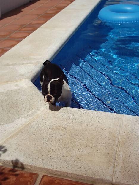 Blanding af racer Nielson - Jeg er altså ikke heeeelt stolt ved situationen billede 16