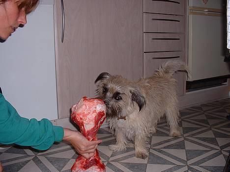 Blanding af racer max <3 - hans kæmpe ben:) billede 16