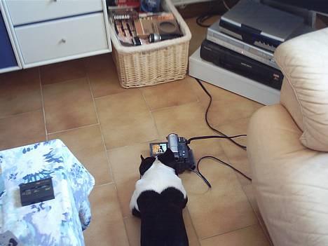 Blanding af racer Nielson - Nielson ser video af sig selv :) billede 17