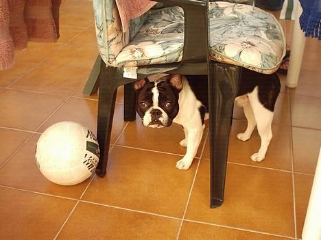 Blanding af racer Nielson - sidste dag i Spanien billede 19