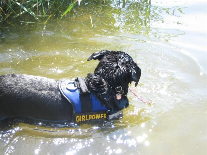 Blanding af racer Trunte (2002-2015) - 11 juni 2007 billede 14