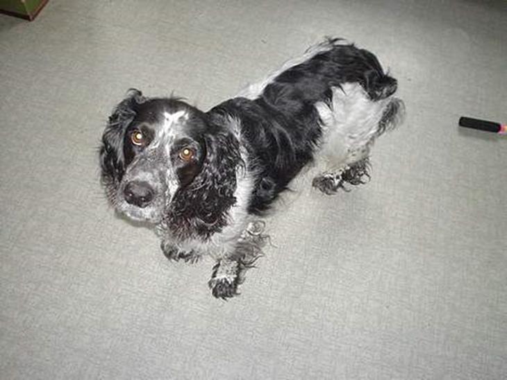 {{currentPhoto.altText}} billede {{currentPhoto.number}}