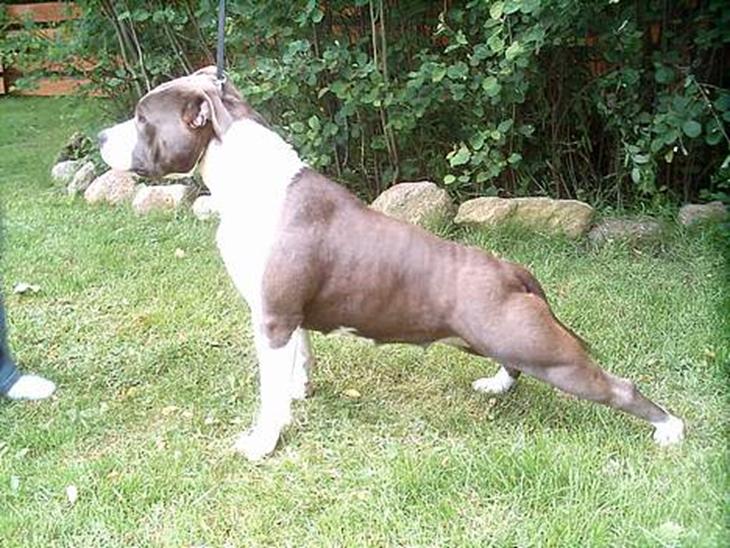 {{currentPhoto.altText}} billede {{currentPhoto.number}}