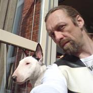 Bullterrier Dizzy hun er død RIP 2008