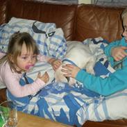 Amerikansk bulldog Arvid R.I.P.