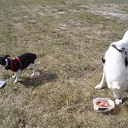 Blanding af racer Pure