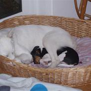 Blanding af racer Pure