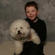 Bichon à poil frisé Lucy star White Nadia 