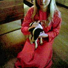 Dansk svensk gaardhund Thea