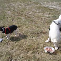 Blanding af racer Pure