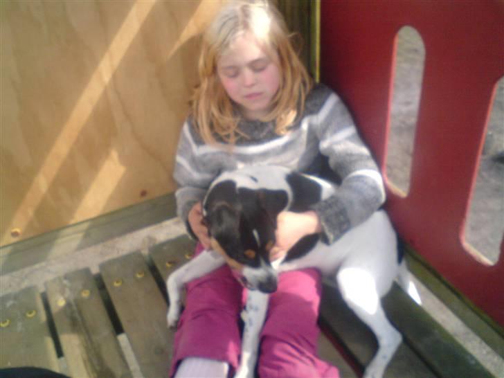 Dansk svensk gaardhund *****futte<3********** - det er mig og futte der tager en lille pause billede 5