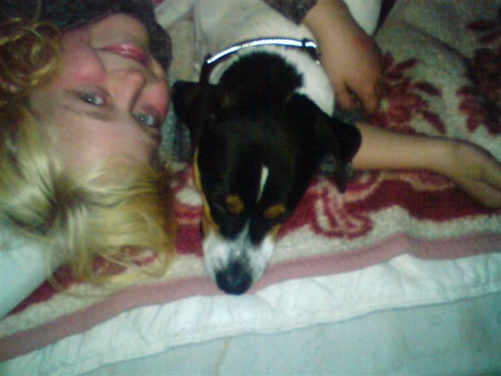 Dansk svensk gaardhund *****futte<3********** - hej futte og louise billede 10