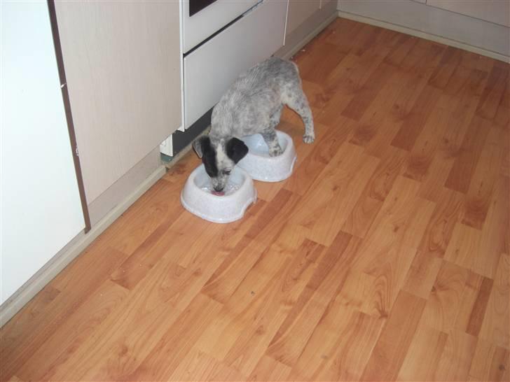 Blanding af racer Mario billede 3