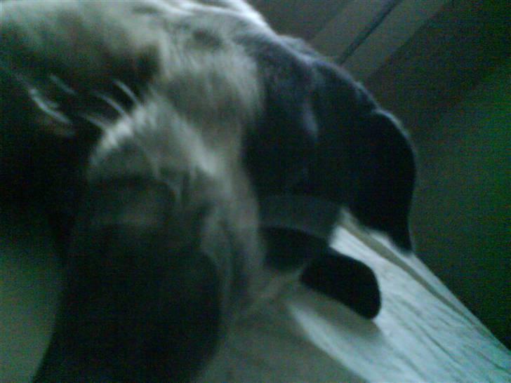 Blanding af racer Mario billede 7