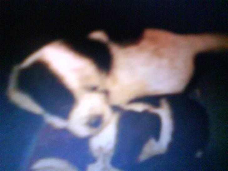 Blanding af racer Mario billede 8