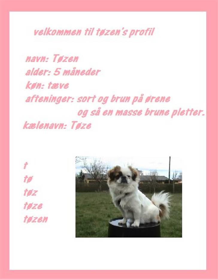 Pekingeser Tøzen - velkommen til tøzen´s profil<3 billede 1