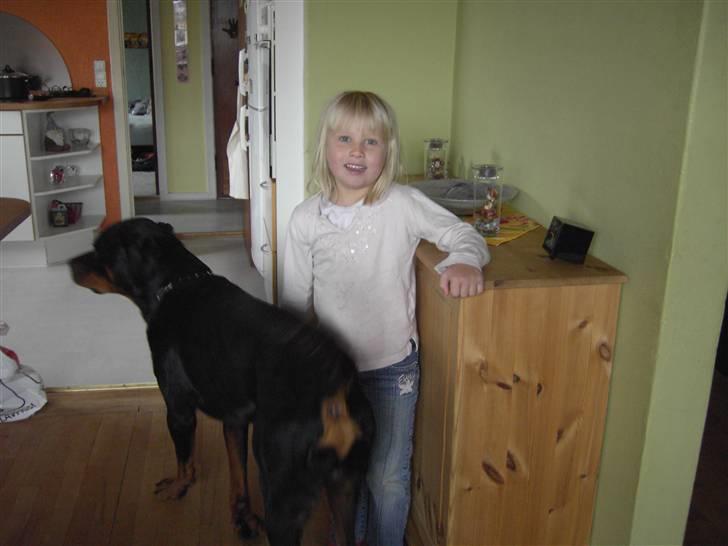Rottweiler Snoopie - Snoopie og min datter billede 6