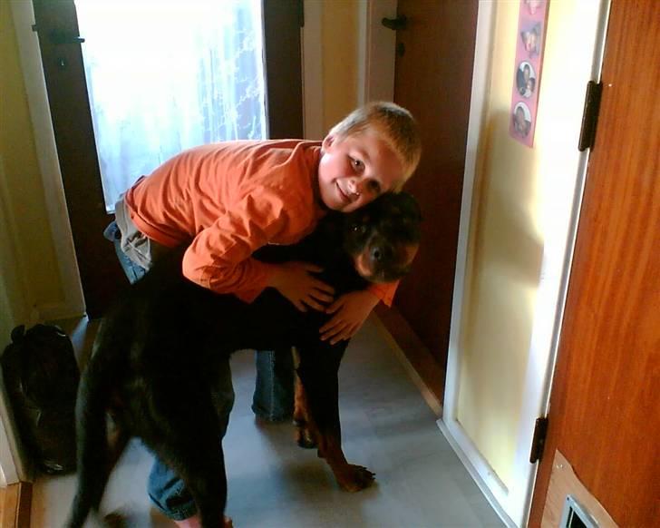 Rottweiler Snoopie - Snoop og min søn billede 7