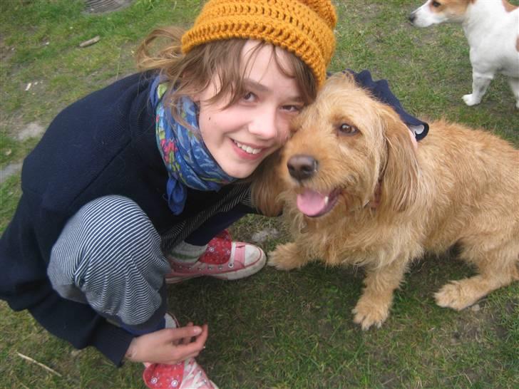 Basset fauve de bretagne Liva - Mig og Liva, for mange år siden, kærligheden til hende er ikke blevet mindre! billede 5