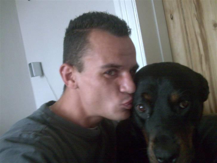 Rottweiler molly billede 12