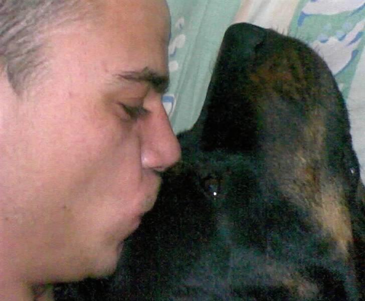 Rottweiler molly billede 16