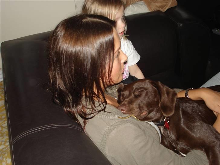 Blanding af racer Sif billede 6