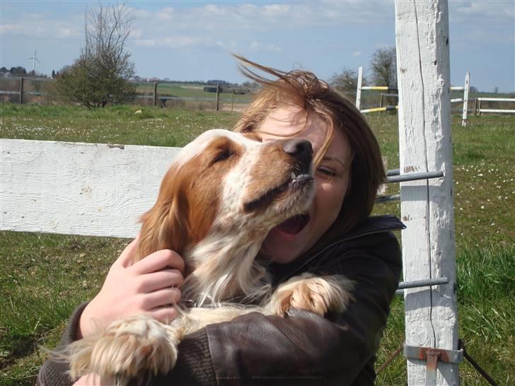 Cocker spaniel Chico - mig og min dejlige hund <3 jeg måske snart skal have hjem <3 billede 1