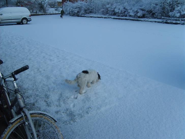 Blanding af racer candy billede 16