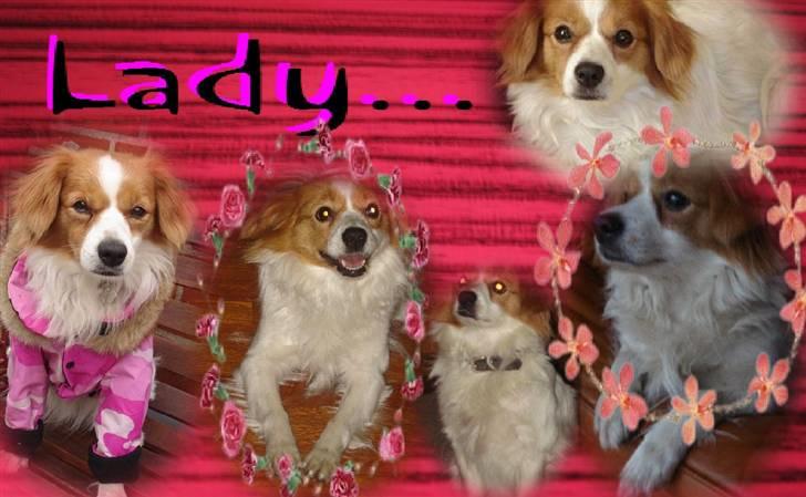 Blanding af racer R.I.P Lady billede 13