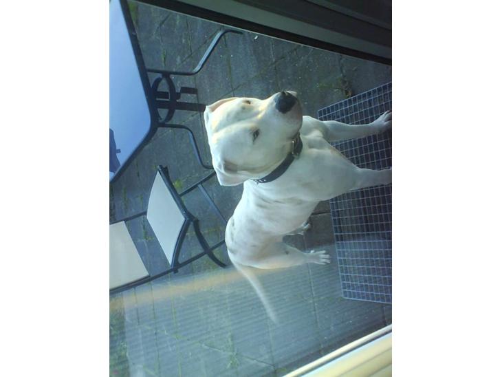 {{currentPhoto.altText}} billede {{currentPhoto.number}}