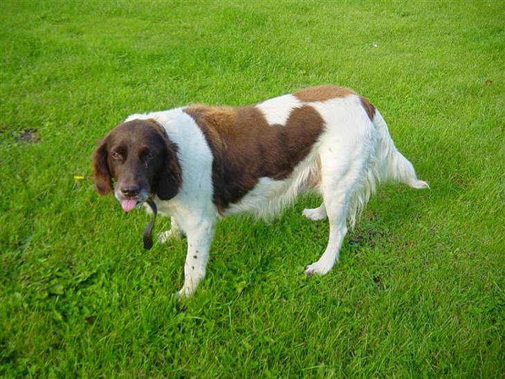 {{currentPhoto.altText}} billede {{currentPhoto.number}}