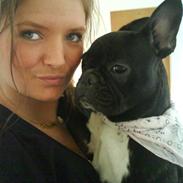 Fransk bulldog Berta