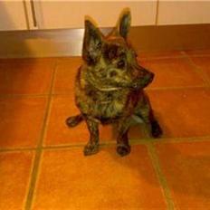 Blanding af racer Minnie