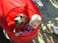 Labrador retriever Laurs RIP - isabella og laurs leger i tunellen