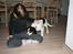 Cavalier king charles spaniel Annexgårdens Lea