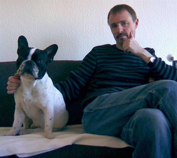 Fransk bulldog Hannibal - Sofahygge igen billede 5