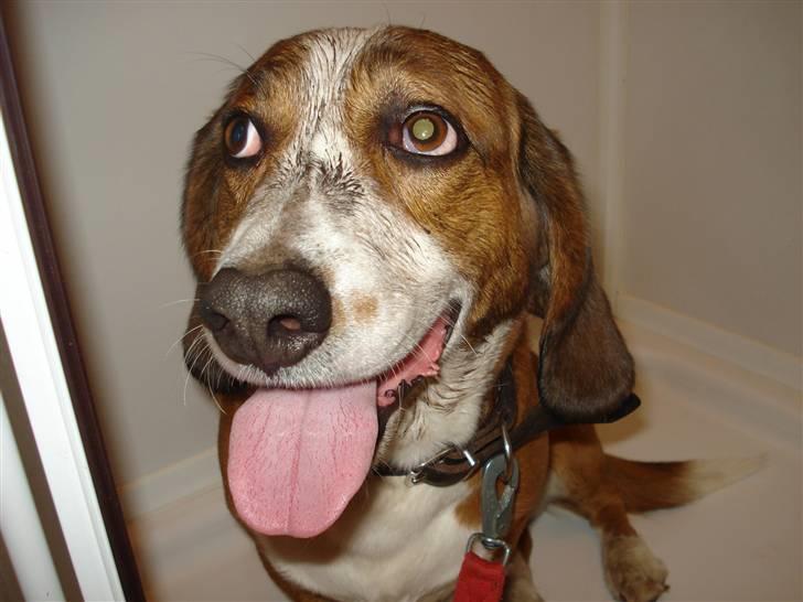 Blanding af racer Doffen - sådan ser man ud når man ryger på hodet i en mudderpøl billede 20