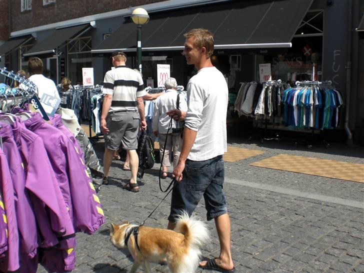 Islandsk fårehund Aiko - På shoppetur med far :D billede 19