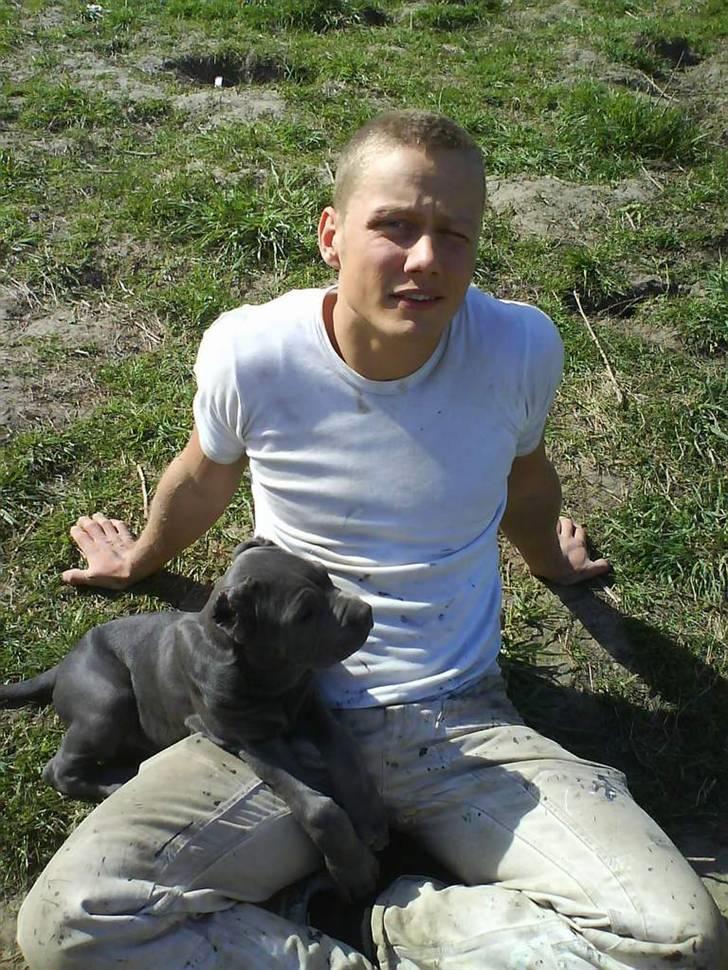 Mastino napoletano Lillefod / Lifo billede 10