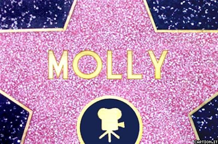 Labrador retriever Molly billede 13