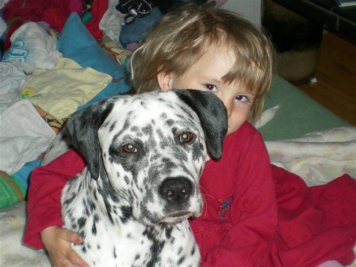 Blanding af racer Diva R.I.P billede 19