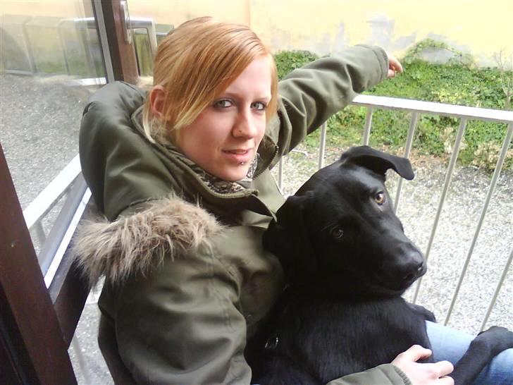 Blanding af racer Pepper <3 † Himmelhund † <3 - Mig og Mor <3 billede 10