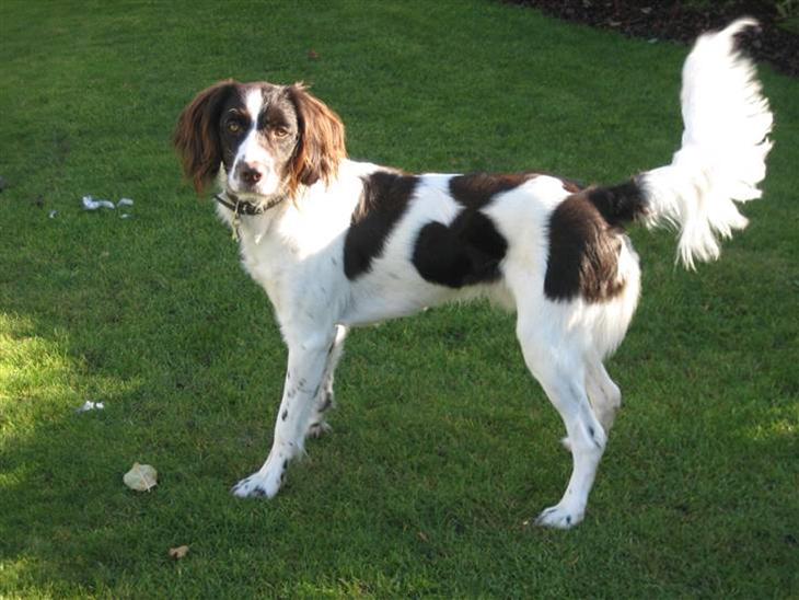 {{currentPhoto.altText}} billede {{currentPhoto.number}}