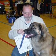 Leonberger Leodania´s Phaona Shewolf