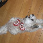 Blanding af racer Djenna